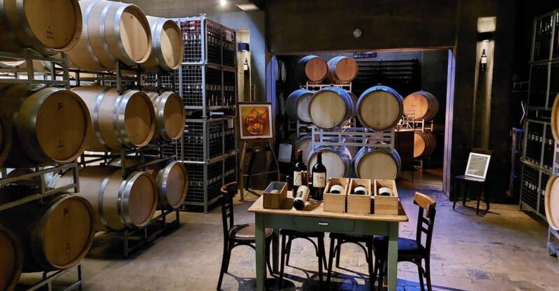 Mendoza Tempus Alba Winery + Trapiche + Transfer Included - Itinerary and Locations