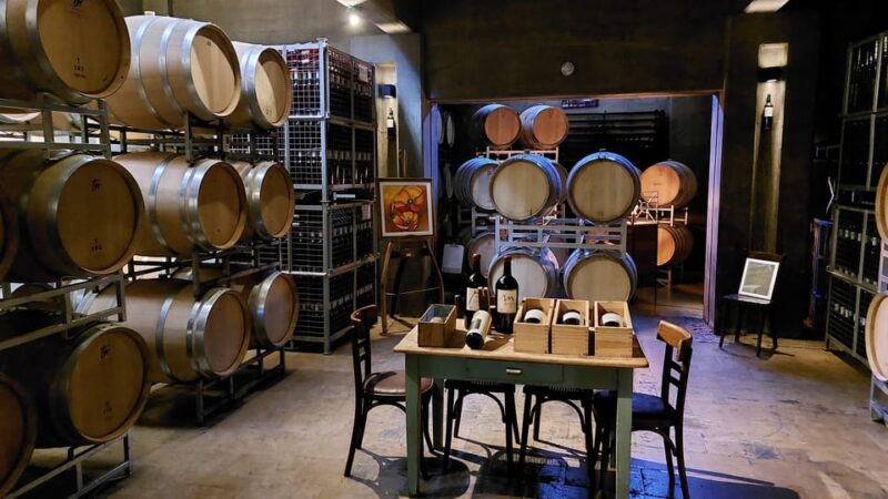 Mendoza Tempus Alba Winery + Trapiche + Transfer Included - Important Considerations
