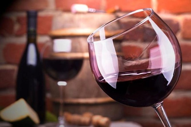 Mendoza Wine Route A Full Day Private Excursion - Key Points