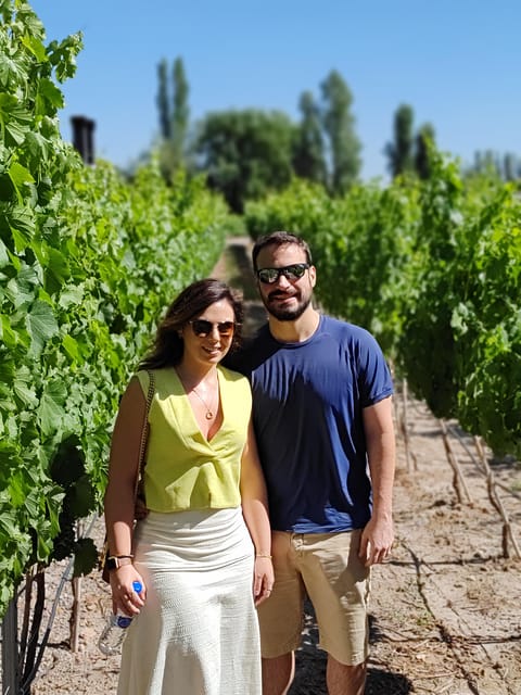 Mendozas Top Wineries – All Inclusive Private Tours! - Key Points