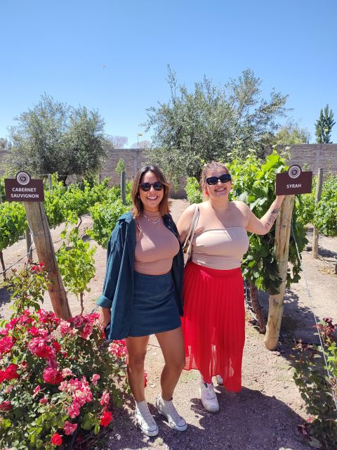 Mendozas Top Wineries !Private Tour Visiting Three Wineries - Key Points