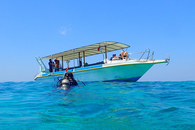 Menjangan Island for Certified Scuba Divers Full Day Boat Trip, 2 Dives + Lunch - Included in the Experience