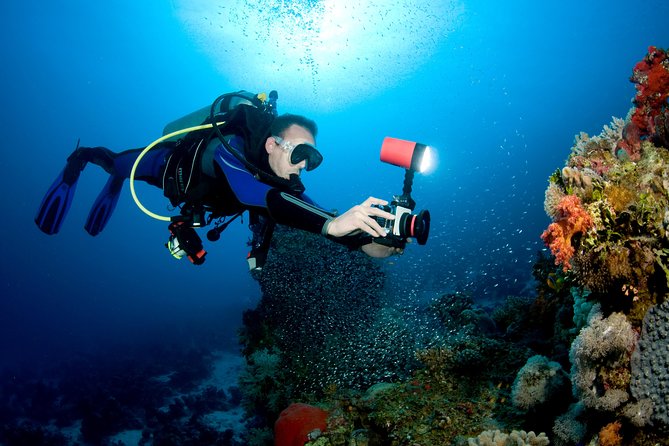 Menjangan Island for Certified Scuba Divers Full Day Boat Trip, 2 Dives + Lunch - Schedule and Duration