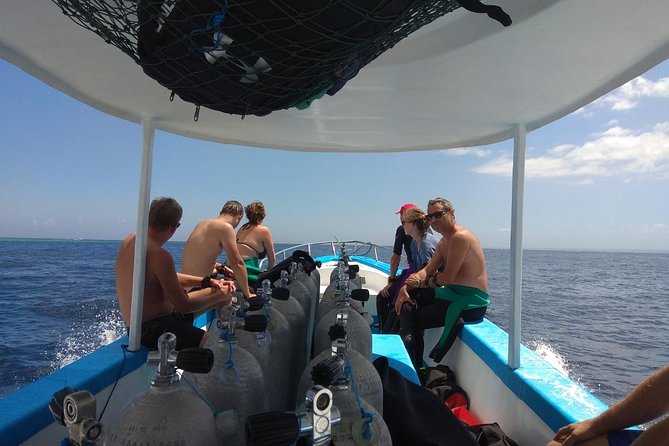 Menjangan Island Snorkeling Full Day Boat Trip - Inclusions and Fees