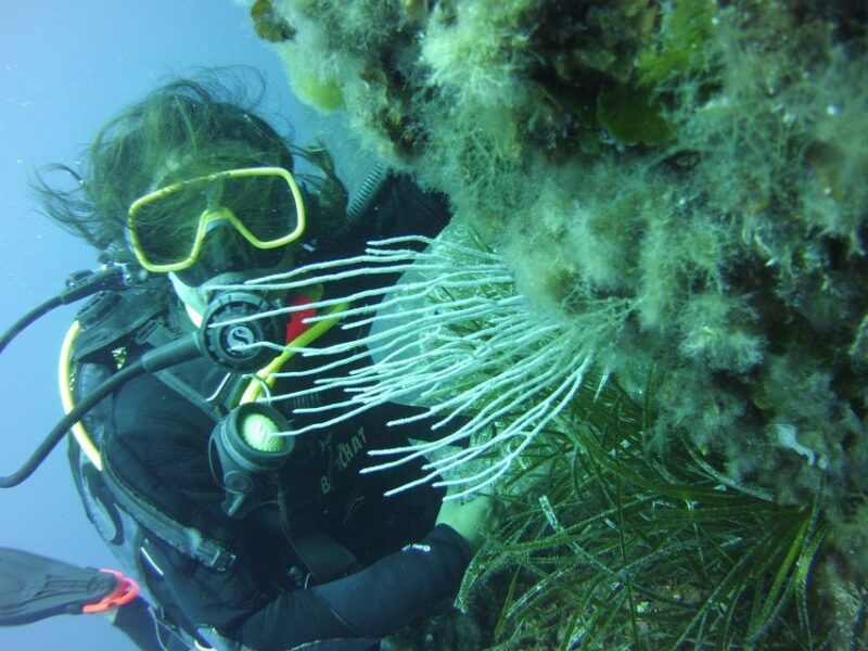 Menorca: Baptism Scuba Diving in Marine Reserve - Post-Dive Amenities and Cleanup