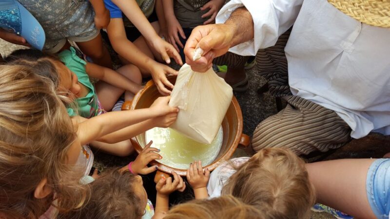Menorca: Binissuès Museum & Cheese Making Demonstration - Customer Reviews and Ratings
