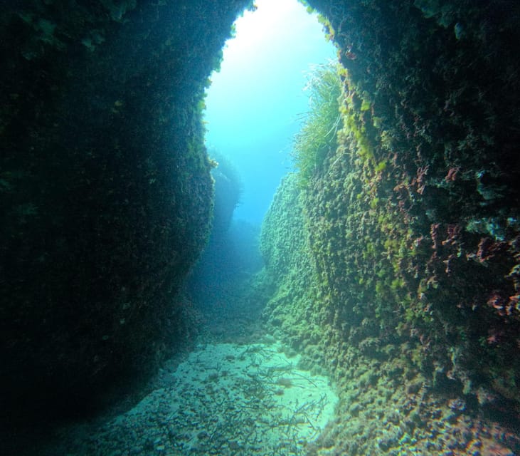 Menorca: Double Dive (IMPORTANT: Certification REQUIRED) - Meet at Dive Center
