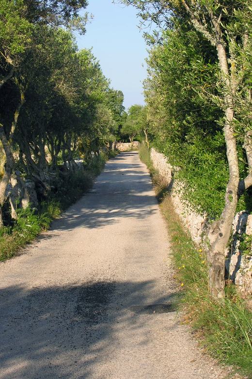 Menorca: E-Bike Tour From Punta Prima to Es Castell - Key Points
