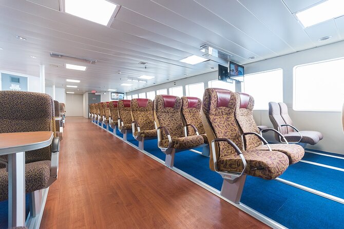 Menorca Full-Day Tour From Mallorca - Participant Information