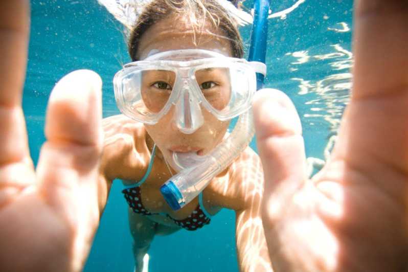 Menorca: Guided Snorkeling Tour in Marine Reserve - Experience Highlights