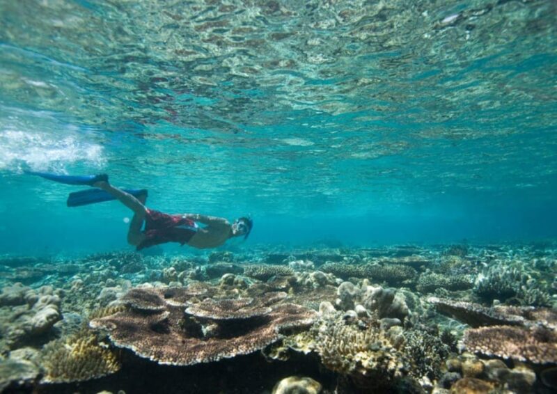 Menorca: Guided Snorkeling Tour in Marine Reserve - Safety and Environmental Considerations