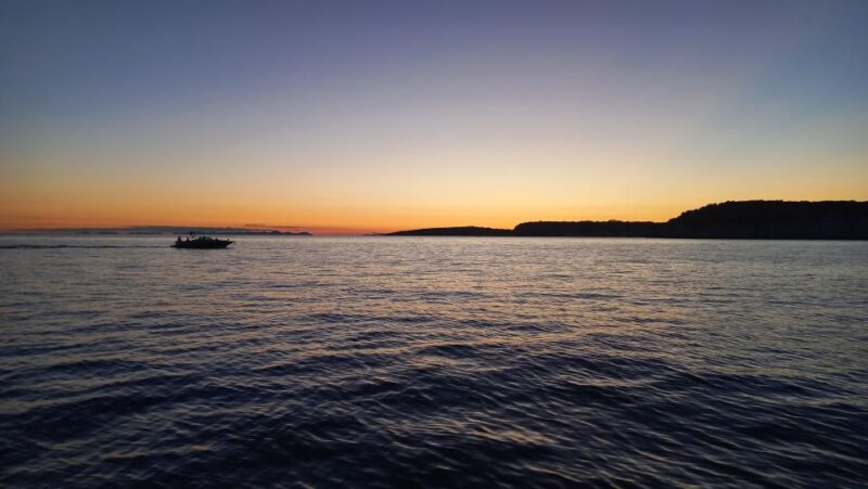 Menorca: Hidden Gems of South Coast Cruise - Customer Feedback