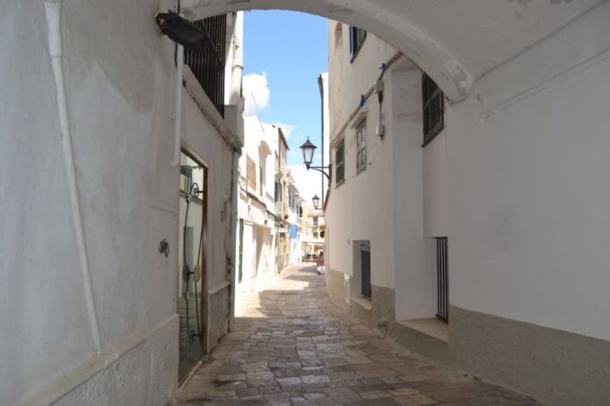 Menorca: Mahon Guided Tour With Cruise and Binibeca Visit - Inclusions and Logistics