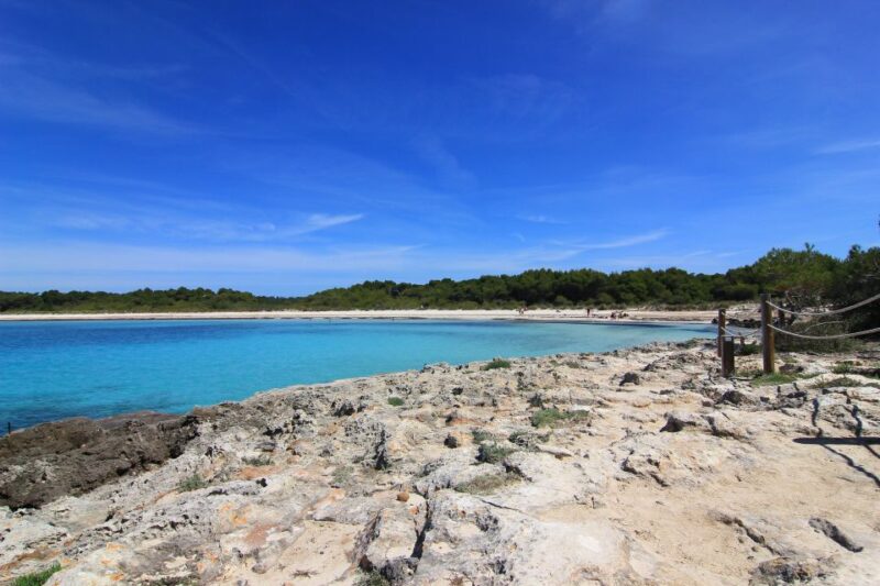 Menorca: Natural Coves and Beaches Boat Trip & Paella Lunch - Itinerary of the Tour