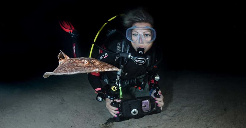 Menorca: Night Dive (Certified Divers) - Key Points