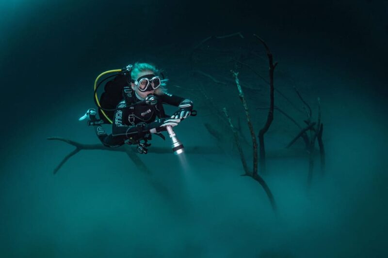 Menorca: Night Dive (Certified Divers) - Experience Highlights