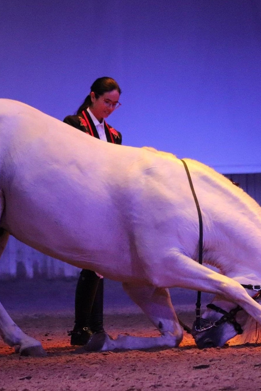 Menorca: San Martorellet Equestrian Show Tickets - Key Points