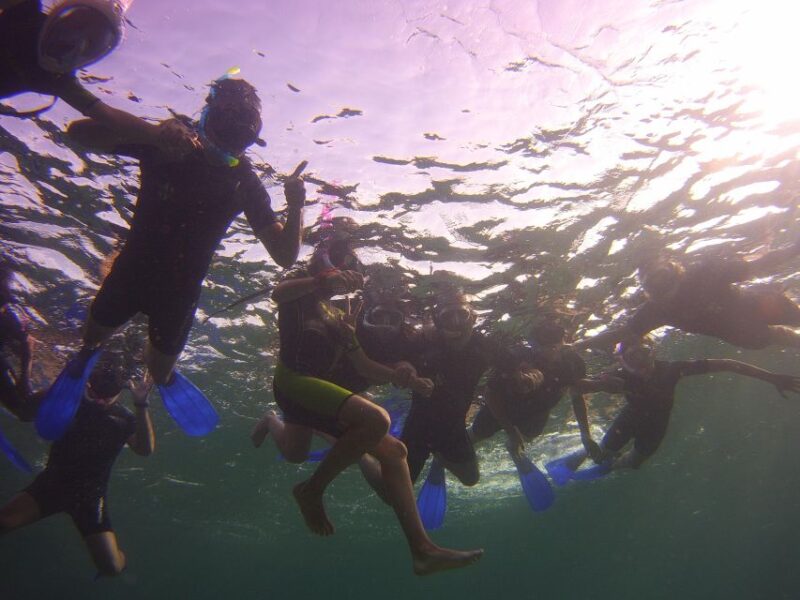 Menorca: Snorkeling Safari Tour - Preparation and Meeting Point