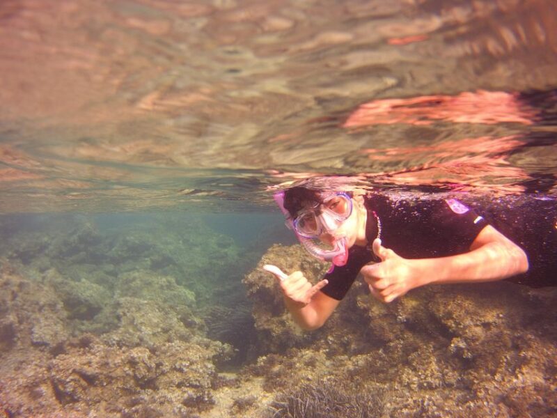 Menorca: Snorkeling Safari Tour - Pricing and Availability