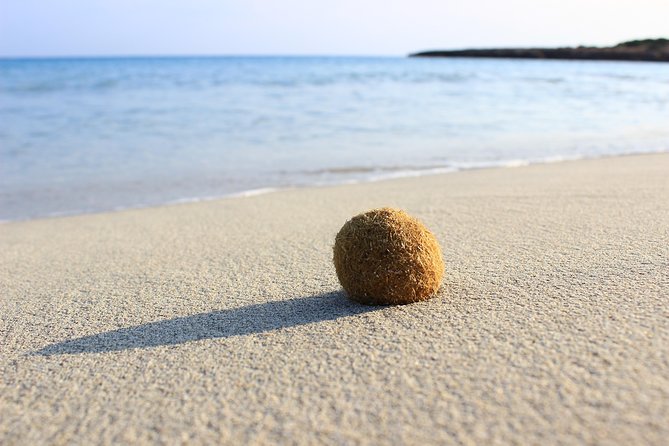 Menorca: South Coast Boat Trip With Lunch - Reviews Highlights