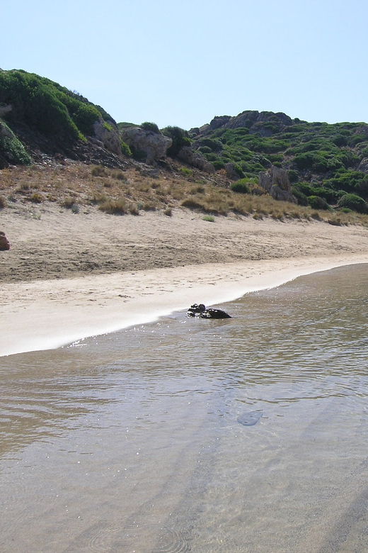 Menorca: Taxi-Boat From Es Grau to Colom Island - Experience Highlights