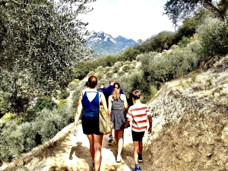 Menton: Citrus Farm, Old-Town & Botanic Full Day Tour - Itinerary Highlights