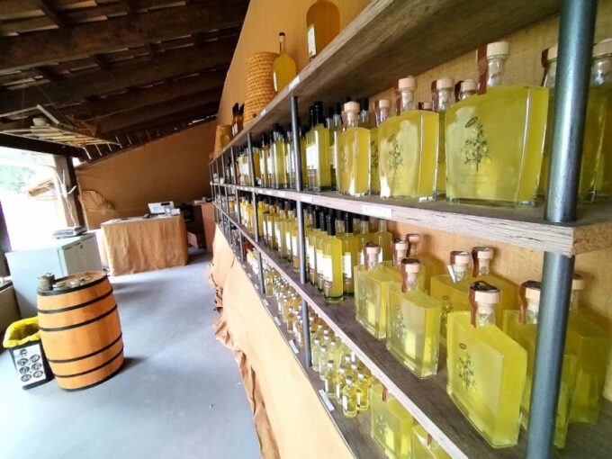Menton: Citrus Farm, Old-Town & Botanic Full Day Tour - City Tour