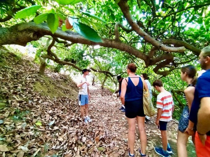 Menton: Citrus Farm, Old-Town & Botanic Full Day Tour - Frequently Asked Questions
