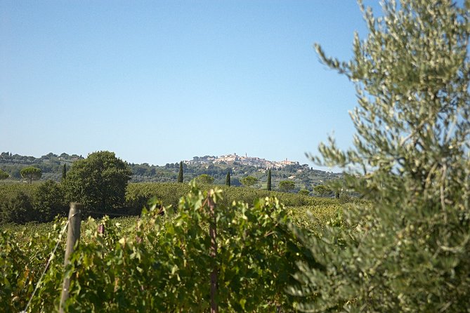 Menu With a "View" in the Enchantment of the Tuscan Hills - Key Points