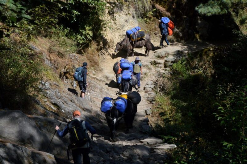Mera Peak Climbing - Inclusions and Provided Gear