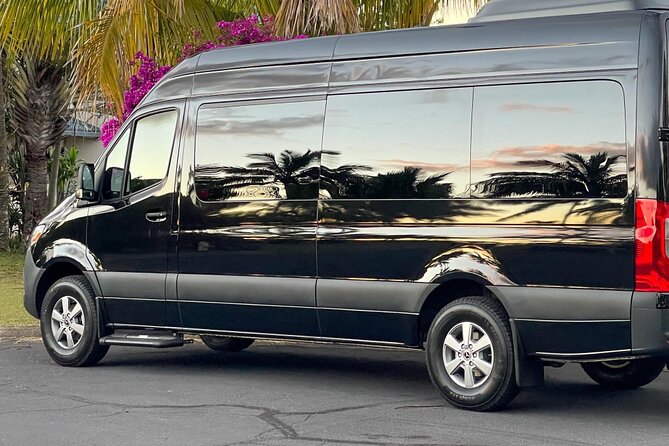 Mercedes Benz Sprinter Airport Transfer - Transfer Options