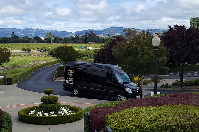 Mercedes-Benz Sprinter Wine Tasting Experience (Chlid Seat Avil.) - Customizable Tour Options