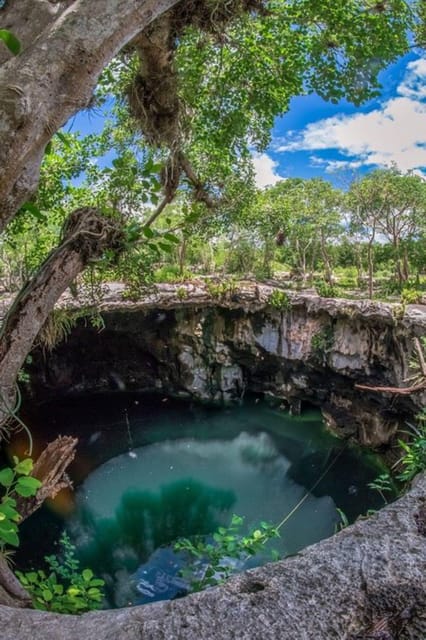 Merida: 4 Cenotes Adventure and Mexican Meal Included - Transportation and Guide