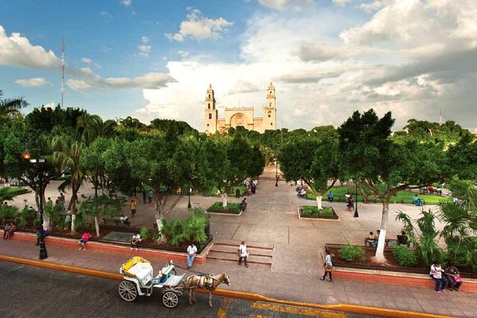 Merida Airport Private Shuttle With WIFI - Reliable Transportation