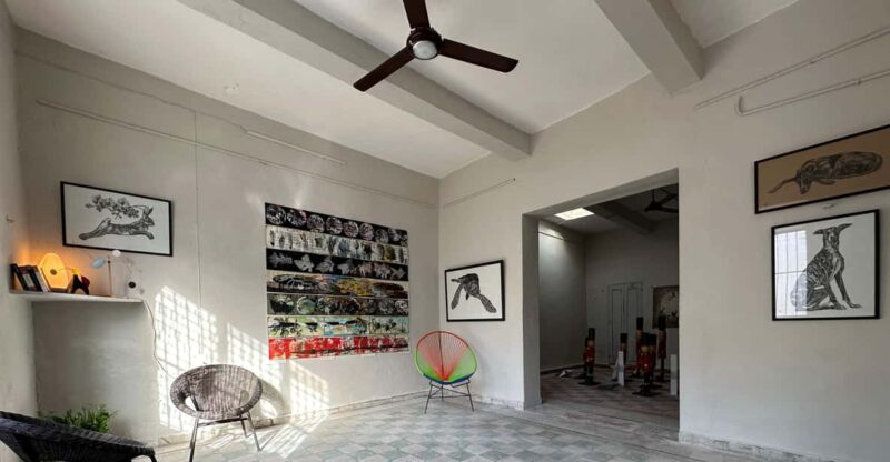 Mérida: an Immersive Experience Visiting Artists' Studios. - Itinerary and Logistics