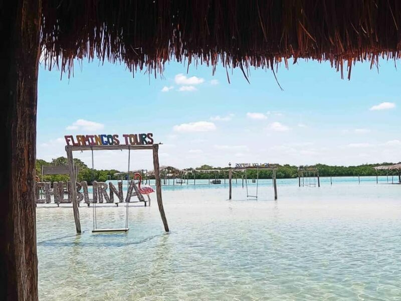 Mérida: Beach tour and restaurant with ocean view with a local guide - Key Points