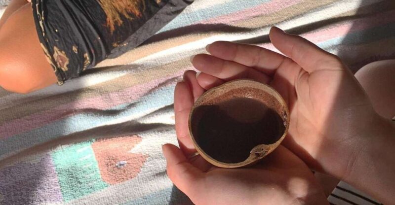 Mérida: Cacao Ceremony & Silvestres Mindful Somatic Journey - Location and Availability