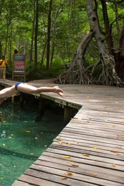 Merida: Celestun Beach and Mangrove Boat Ride Day Trip - Key Points