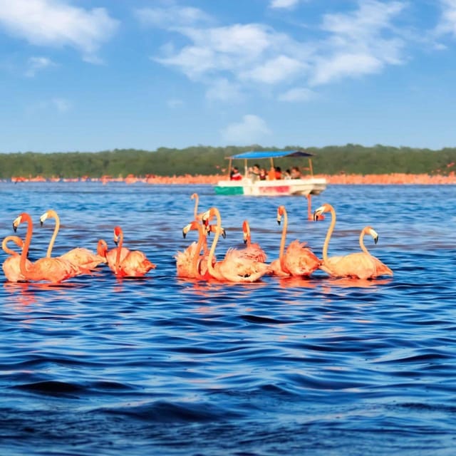 Merida: Celestun Beach and Mangrove Boat Ride Day Trip - What to Bring