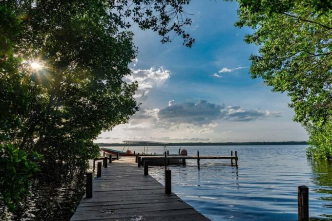 Merida: Celestun Beach and Mangrove Boat Ride Day Trip - Boat Ride Through Mangroves