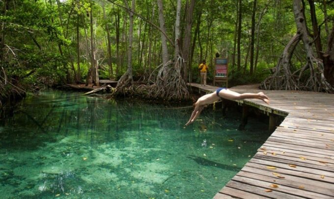 Merida: Celestun Beach and Mangrove Boat Ride Day Trip - Local Beachside Dining