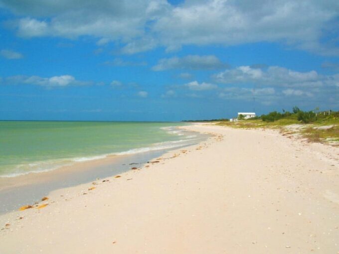 Merida: Celestun Beach and Mangrove Boat Ride Day Trip - Frequently Asked Questions
