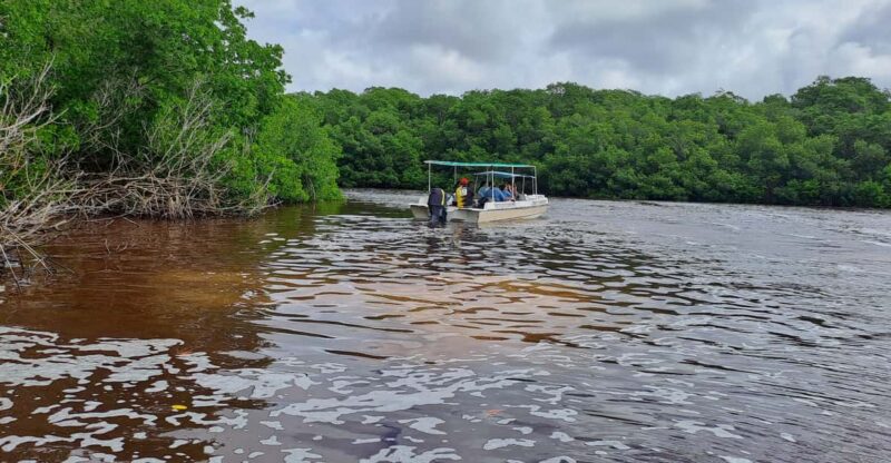 Merida: Celestun Biosphere Reserve Private Tour - Key Points