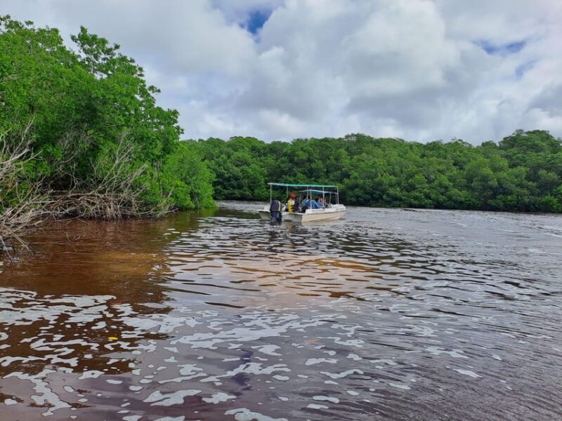 Merida: Celestun Biosphere Reserve Private Tour - Experience Highlights
