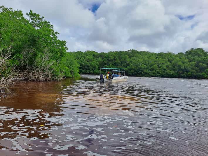Merida: Celestun Biosphere Reserve Private Tour - Itinerary and Transportation