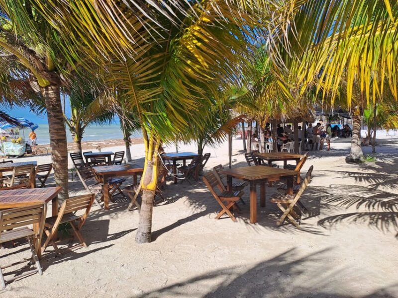 Merida: Celestun Biosphere Reserve Private Tour - Optional Add-Ons