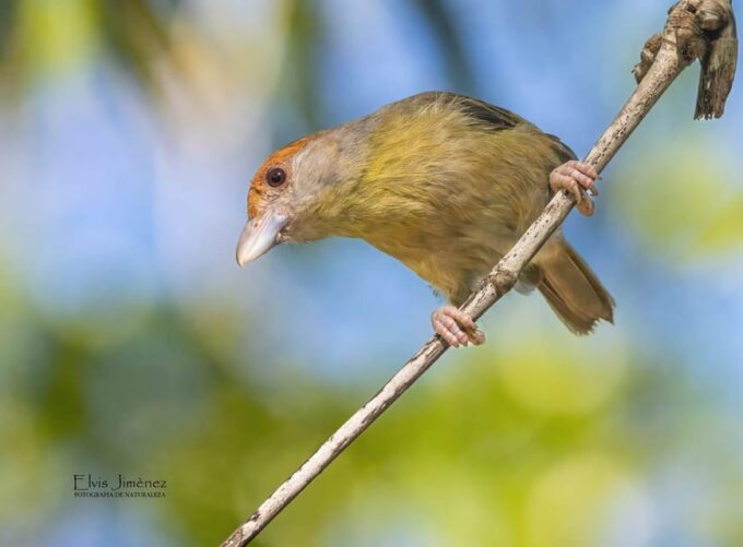 Merida: Celestun Biosphere Reserve Private Tour - Exploring the Biosphere