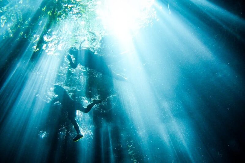 Merida: Cenote Adventure and Local Family Meal Day Trip - Important Information