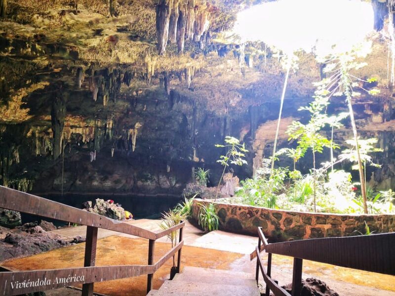 Mérida: Full-Day Sacred Cenotes Tour With Lunch - Itinerary Details