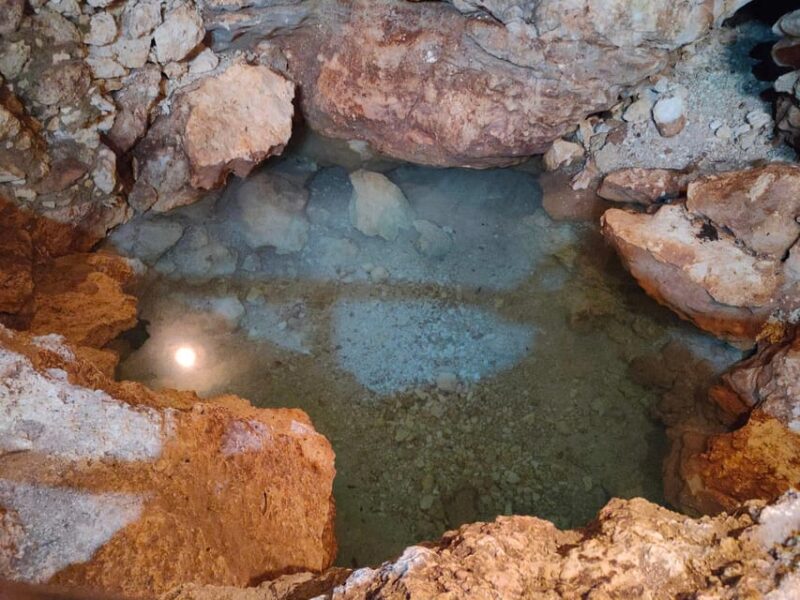 Mérida: Full-Day Sacred Cenotes Tour With Lunch - Included Amenities